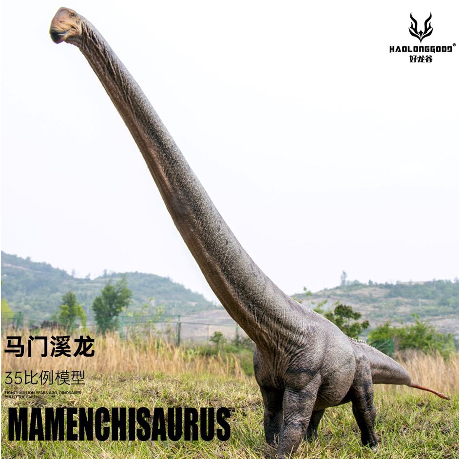 マグナムモンク_SAURUS❶ Haolonggood Mamenchisaurus Model (Zhu Wu)