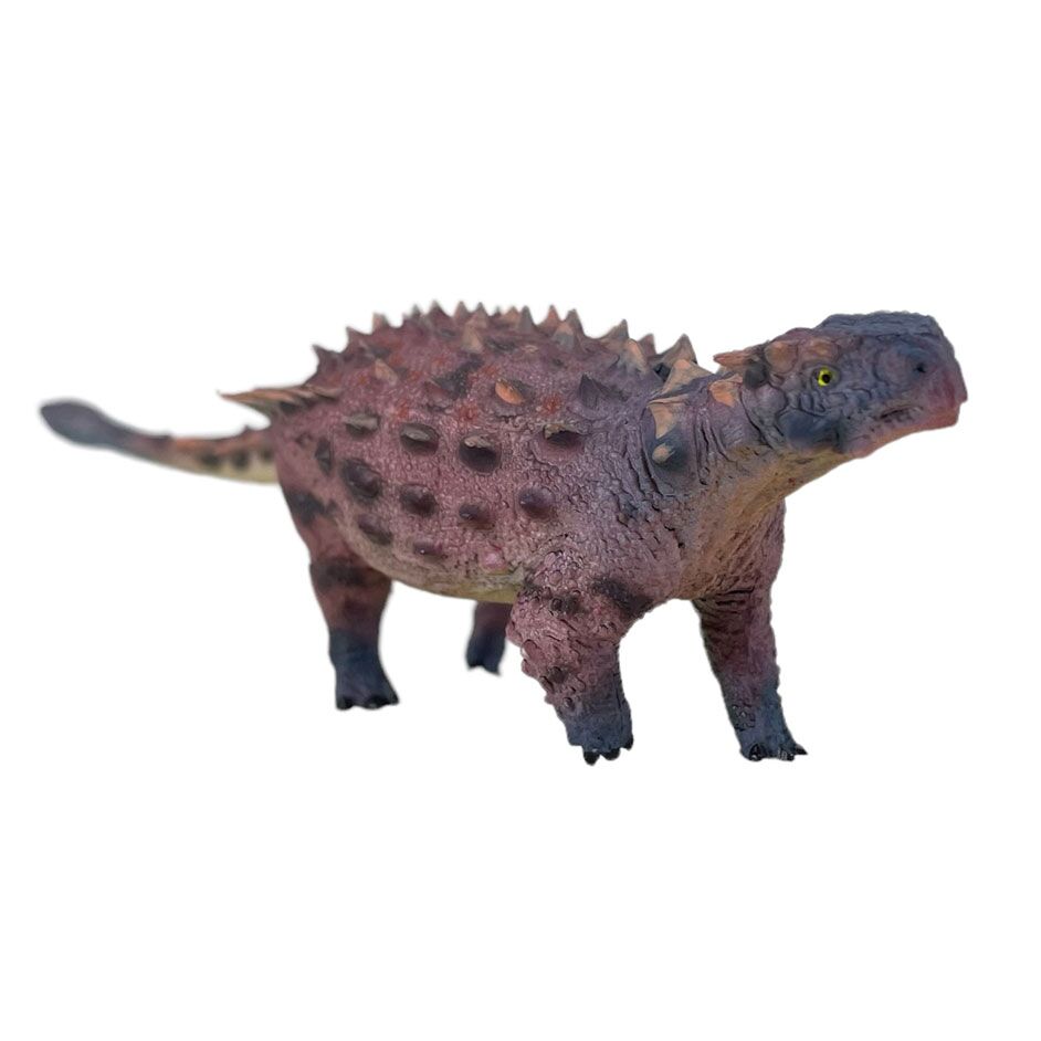 Saichania armoured dinosaur figure shown in dorsal view.