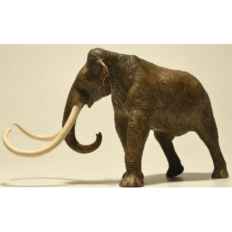 Eofauna Columbian Mammoth