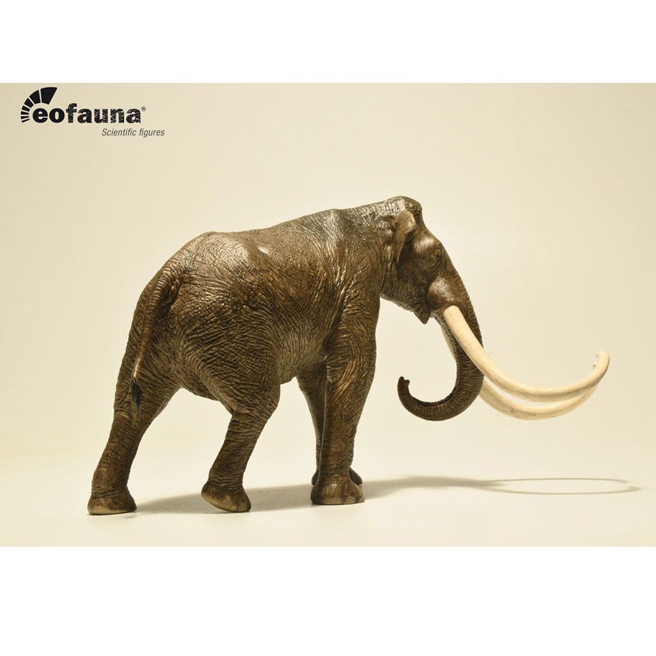 Eofauna Columbian Mammoth