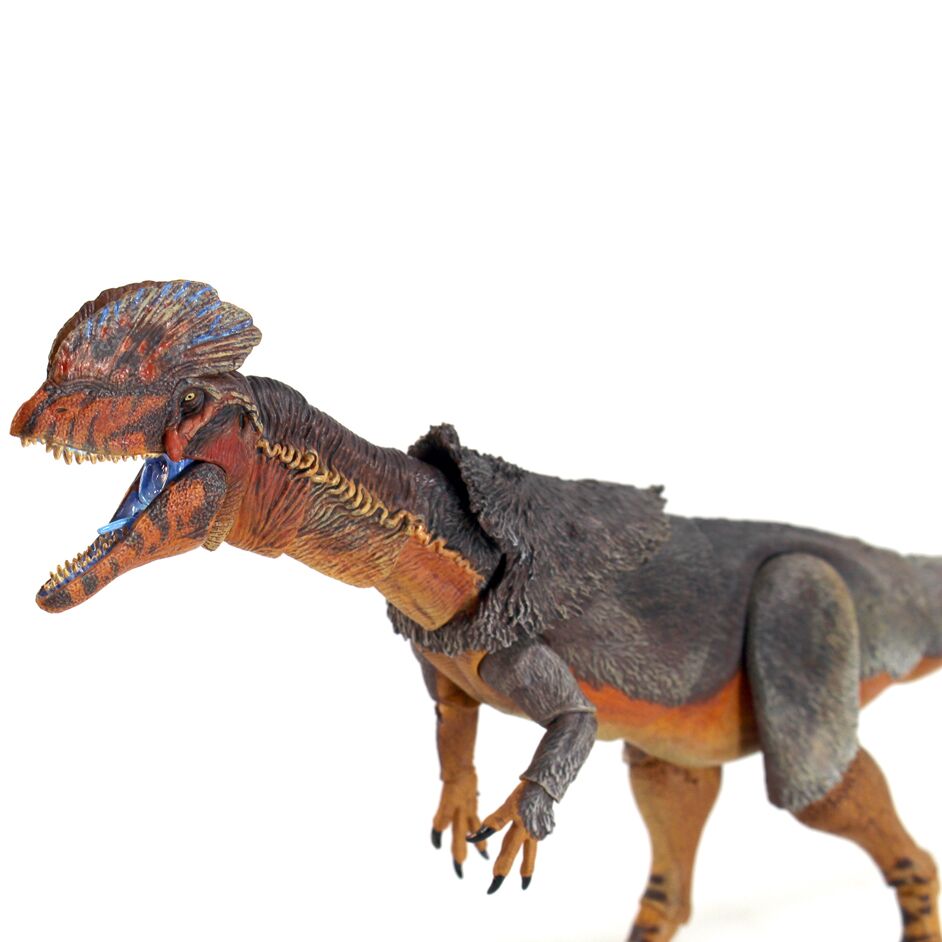 A close-up view of the colourful dinosaur model.