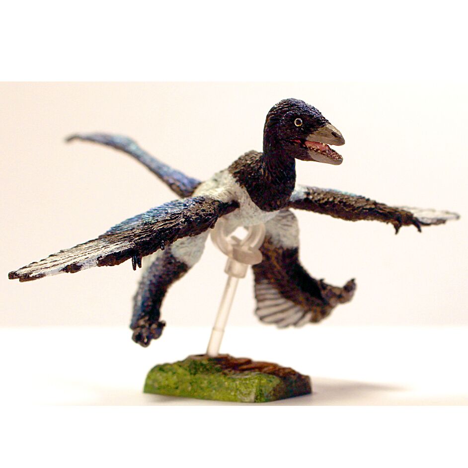 Microraptor - Beasts of the Mesozoic Eastern Pack.