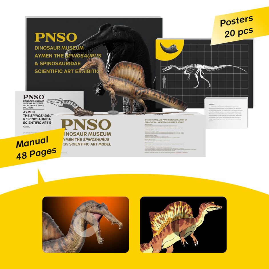 Model is supplied with 20 posters and a skull replica.