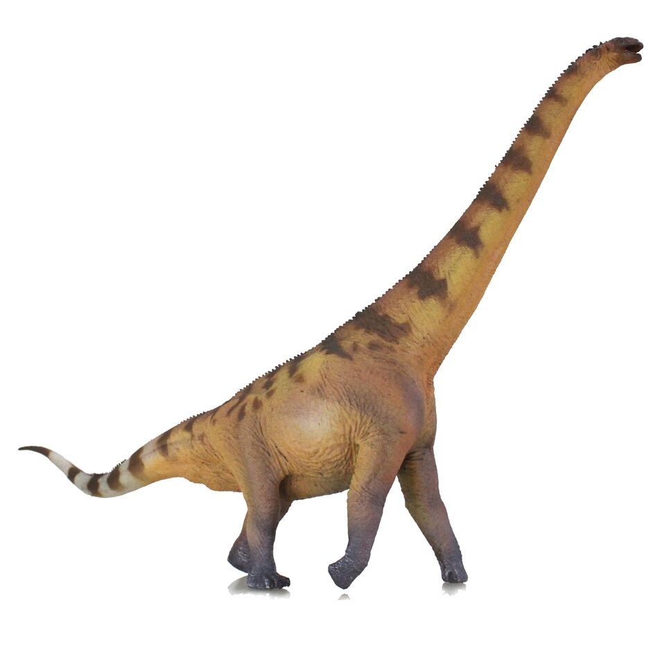 Haolonggood Euhelopus Jiang Jing