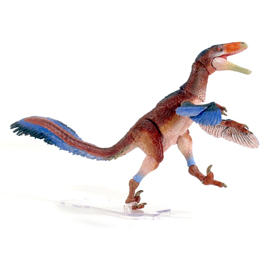 A dancing dromaeosaurid dinosaur model.