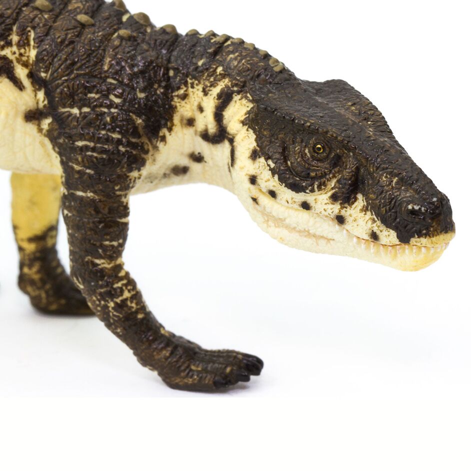 Wild Safari Postosuchus model.