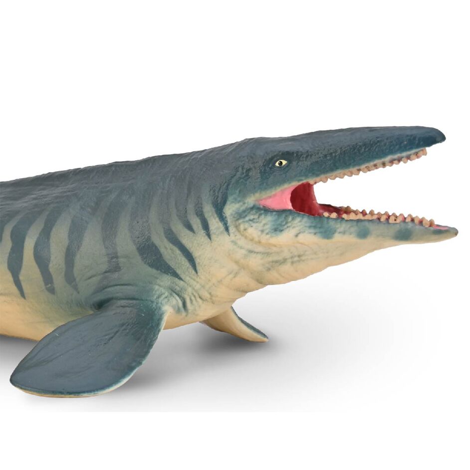 A close view of the head of the Tylosaurus proriger model.