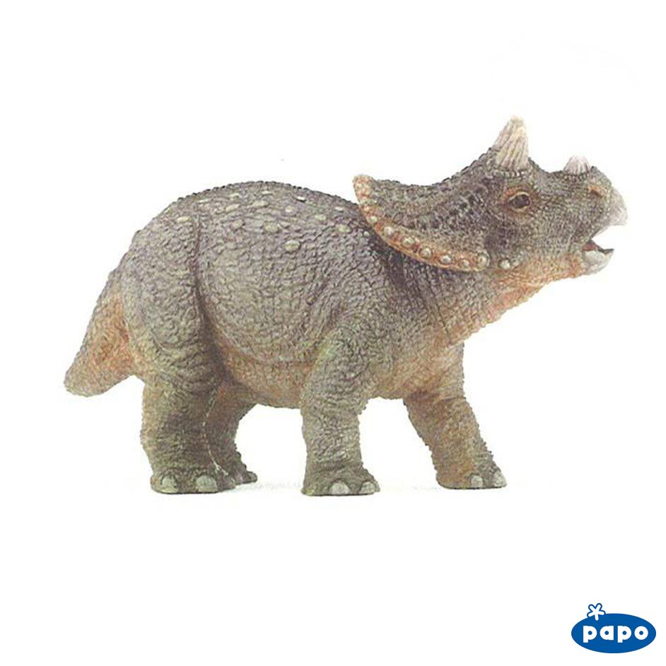 Papo baby Triceratops dinosaur model