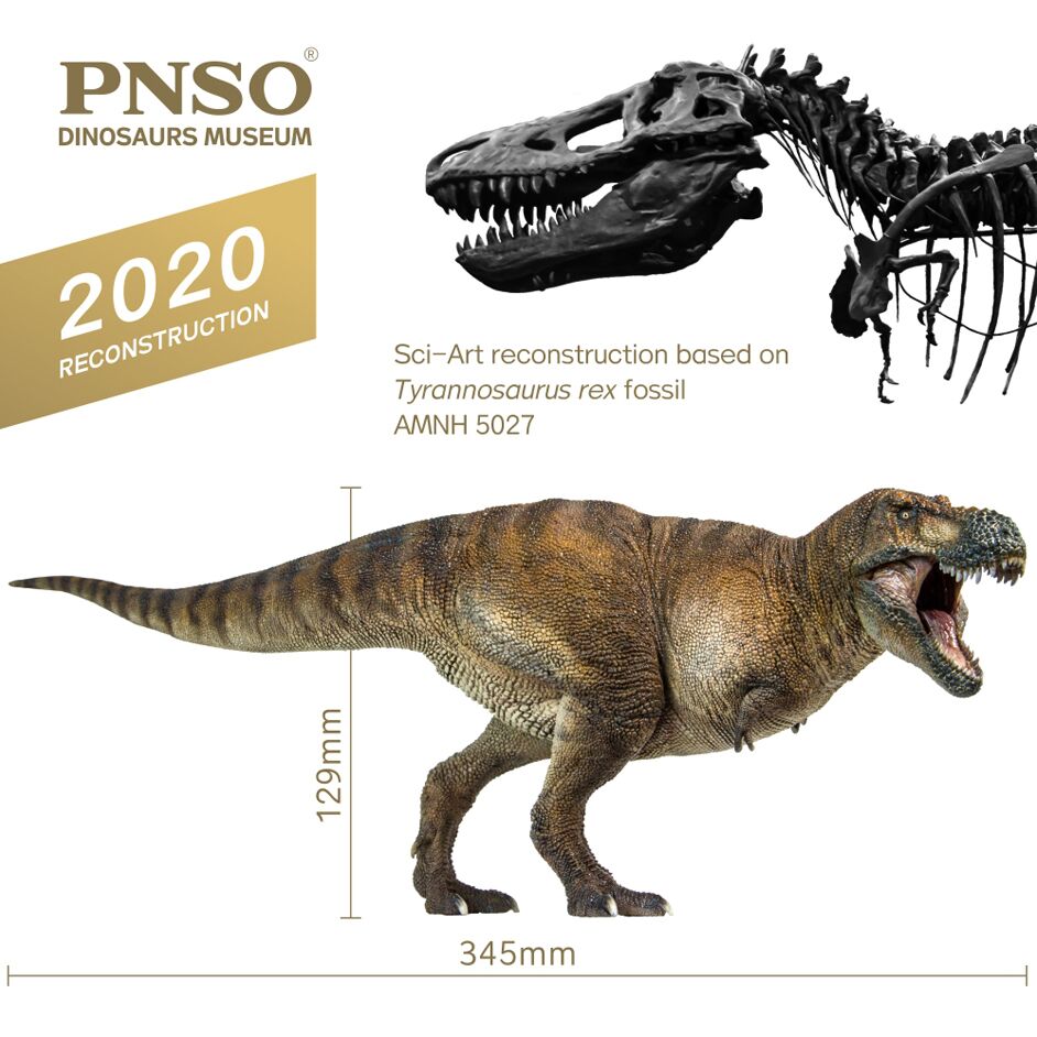 PNSO Wilson T. rex dinosaur model