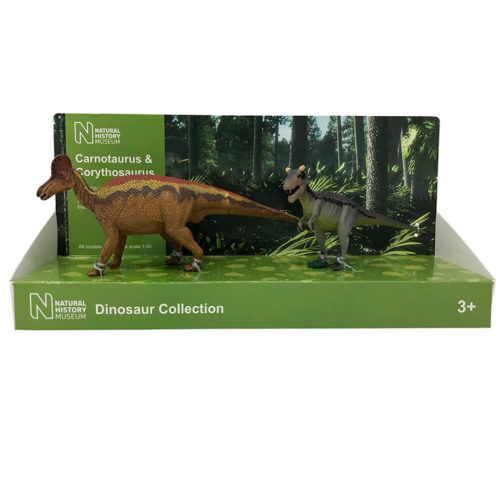 Articulated T. rex Model  Natural History Museum online shop