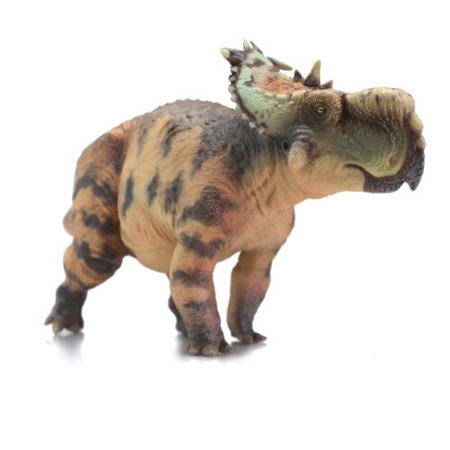 Haolonggood Carnotaurus (Li Zhong) - Everything Dinosaur