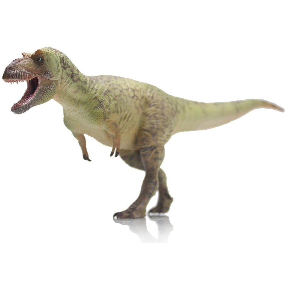 Haolonggood Daspletosaurus torosaurus (Wu Song)