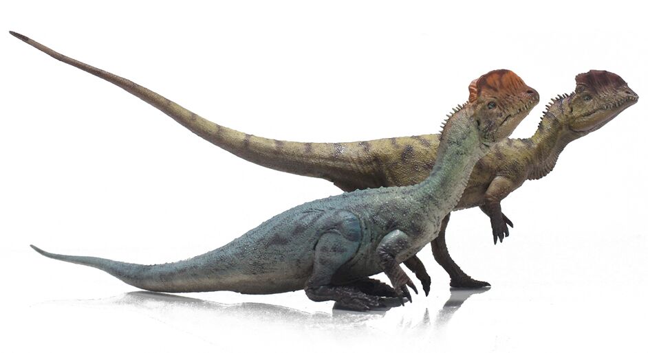 Haolonggood Dilophosaurus (Wang Ying/Hu San Niang)