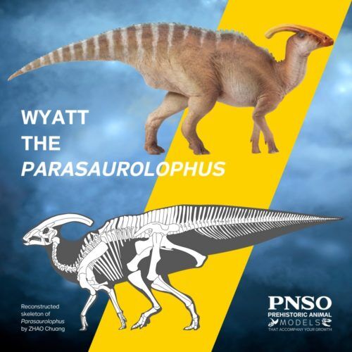 PNSO Wyatt the Parasaurolophus Dinosaur Model - Everything Dinosaur