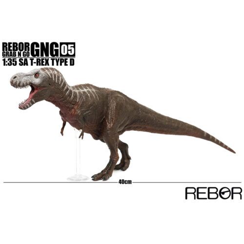 Rebor Smilodon populator Stray Cat Jungle - Everything Dinosaur