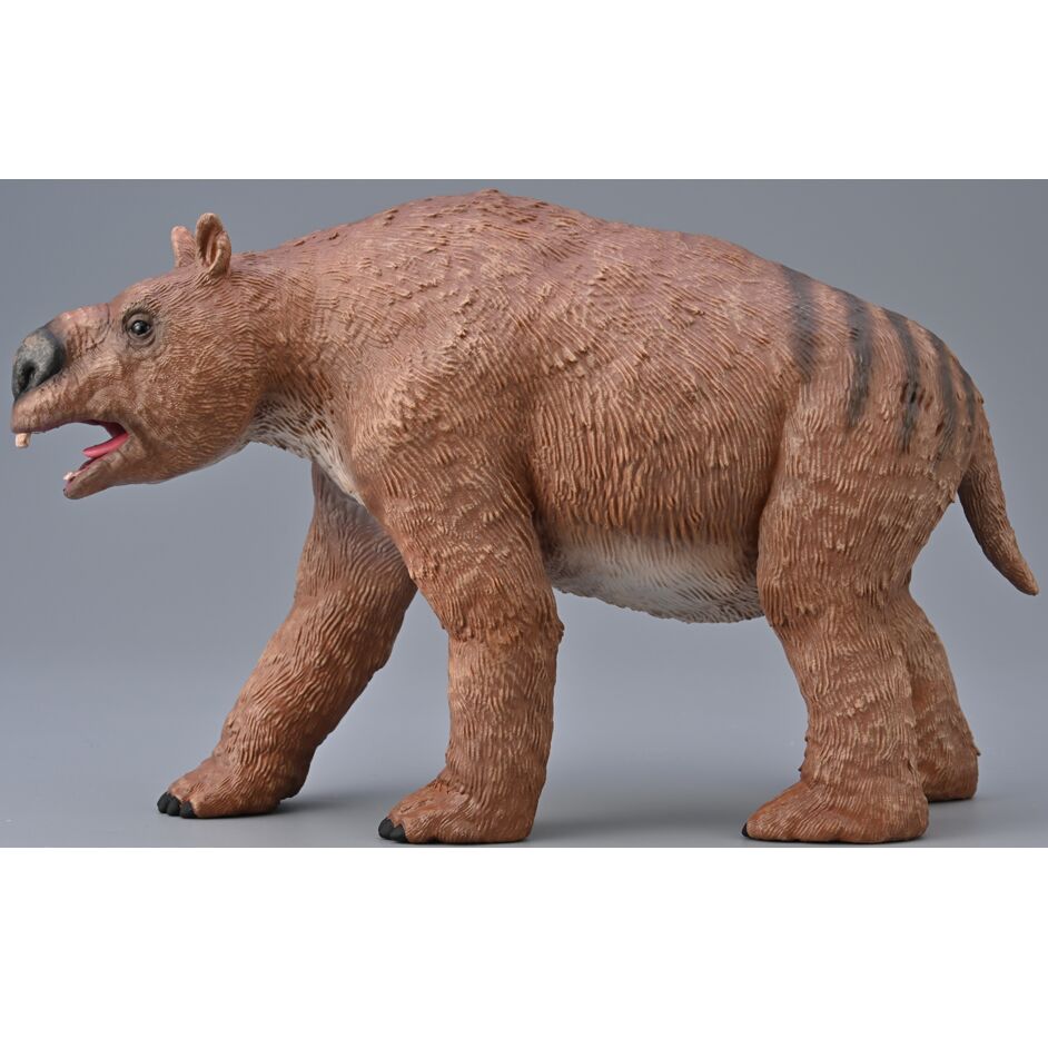 A fabulous Diprotodon scale model.