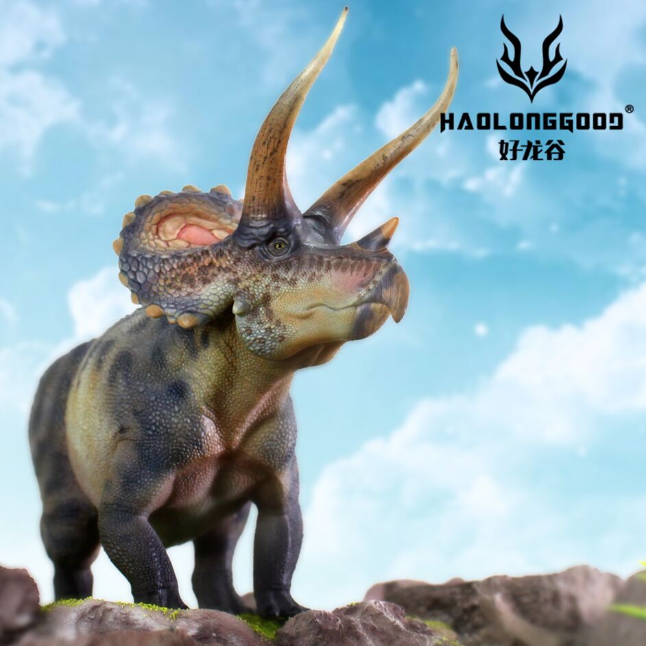 Haolonggood Triceratops (Hu Yan Zhuo) - Everything Dinosaur