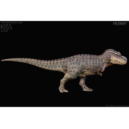 Rebor Dinosaur Models - Rebor Dinosaurs