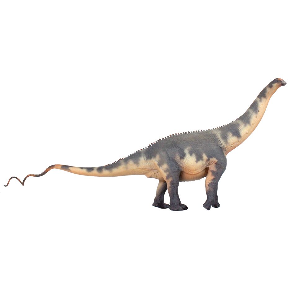 Haolonggood Brontosaurus Du Weng Zhong shown in lateral view.