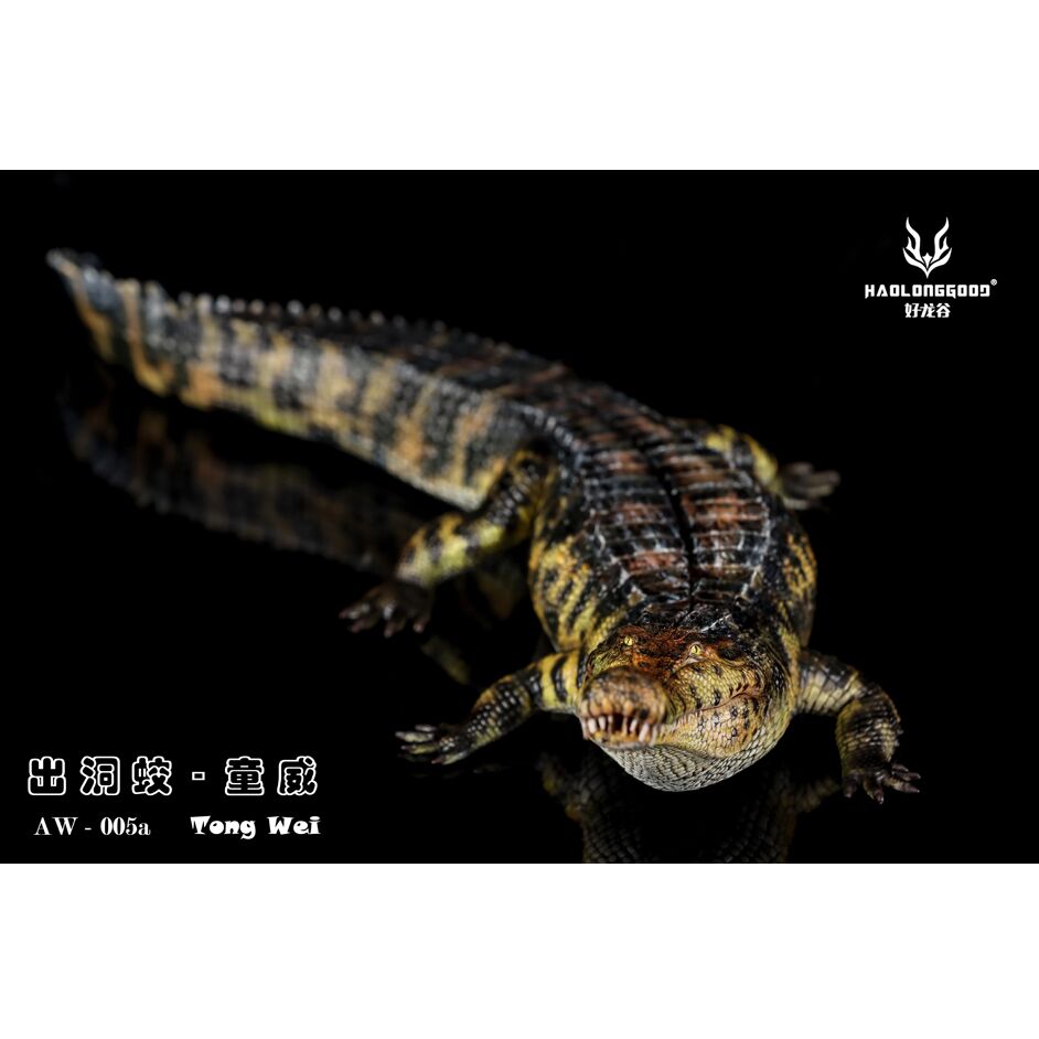 Haolonggood Sarcosuchus imperator Tong Wei
