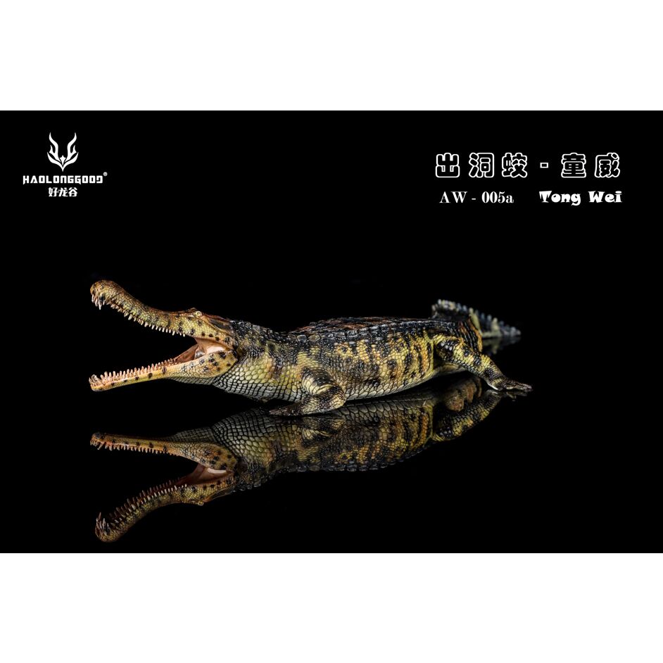Haolonggood Sarcosuchus imperator Tong Wei