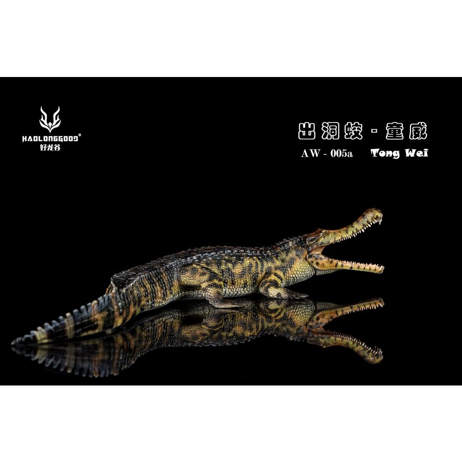 Haolonggood Sarcosuchus imperator Tong Wei