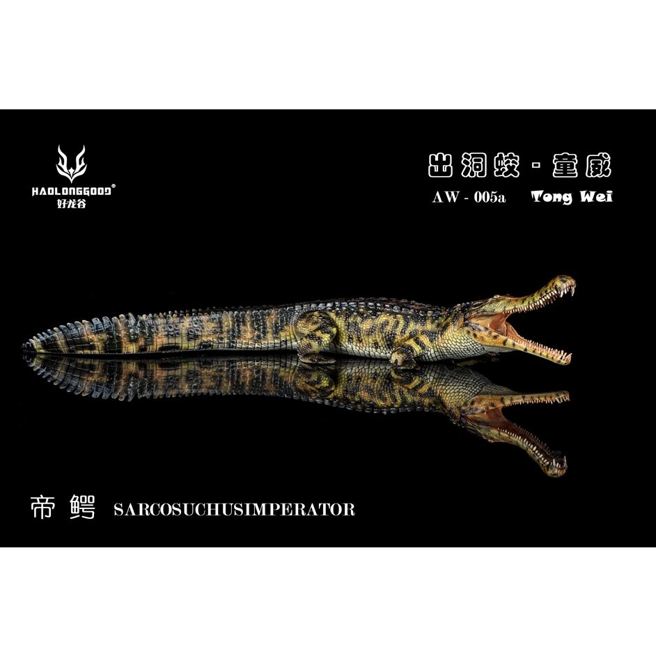 Haolonggood Sarcosuchus imperator Tong Wei