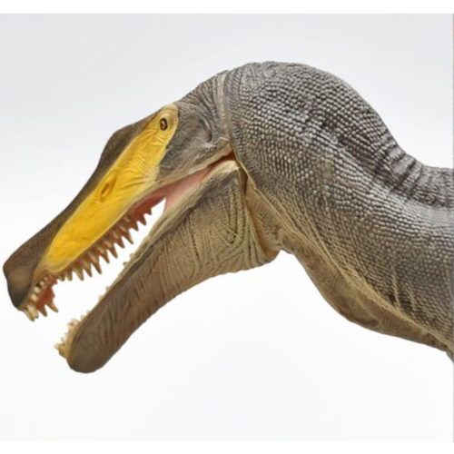 w-dragon-giganotosaurus-dinosaur-model
